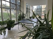 Продаётся 4-комн. новостройка 214.7 м², м. Ичеришехер, photo 8 from 8