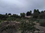 Продаётся  участок 22 сот, пос. Шувеляны, photo 6 from 8