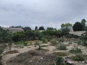 Продаётся  участок 22 сот, пос. Шувеляны, photo 8 from 8