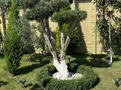 Продаётся 5-комн. дом/дача 210 м², пос. Шувеляны, photo 4 from 8