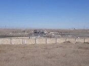 Продаётся  участок 280 сот, пос. Сарай, photo 4 from 8