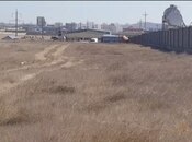 Elan №4632009 - Bakı, Saray q., 280 sot