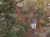 Продаётся 6-комн. дом/дача 360 м², пос. Горадил, photo 8 from 8