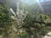 Продаётся 9-комн. дом/дача 250 м², Ясамальский р., photo 5 from 8