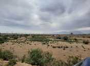 Satılır  torpaq 300 sot, photo 2 from 8