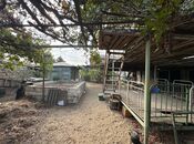 Объявление №4685180 - Баку, пос. Мардакан, 8 сот