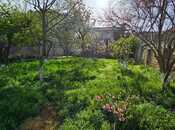 Продаётся  участок 76 сот, пос. Шихов , photo 3 from 7