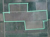 Satılır  torpaq 830 sot, Xaçmaz r., photo 3 from 7