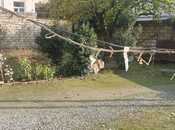 Продаётся  участок 10 сот, м. Гянджлик, photo 7 from 8