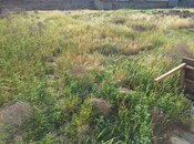 Объявление №4735322 - Баку, Гарадагский р., 1000 сот