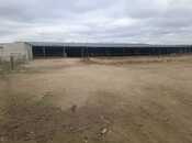 Объявление №4766720 - Баку, Гарадагский р., 5000 м²