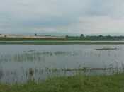 Satılır  torpaq 4 200 sot, photo 5 from 8