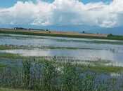 Elan №4769391 - Zaqatala, Zaqatala, 4200 sot