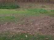 Satılır  torpaq 4 200 sot, photo 7 from 8