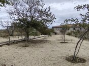 Satılır  torpaq 24 sot, Bilgəh q., photo 8 from 8