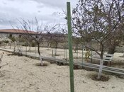 Satılır  torpaq 24 sot, Bilgəh q., photo 4 from 8