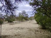 Elan №4787987 - Bakı, Bilgəh q., 24 sot