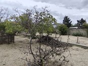 Satılır  torpaq 24 sot, Bilgəh q., photo 7 from 8