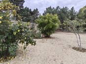 Satılır  torpaq 24 sot, Bilgəh q., photo 3 from 8