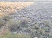 Satılır  torpaq 8 sot, Badamdar q., photo 5 from 5