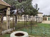 Satılır  torpaq 20 sot, Bilgəh q., photo 8 from 8