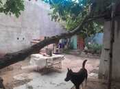 Продаётся  участок 5.2 сот, м. 20 января, photo 4 from 7