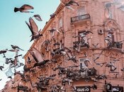 Продаётся  объект 30 м², м. Сахил, photo 8 from 8