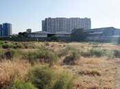 Продаётся  участок 25 сот, пос. Ени Гюнешли, photo 2 from 5