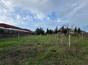 Продаётся  участок 31 сот, пос. Шувеляны, photo 3 from 6