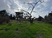 Продаётся  участок 31 сот, пос. Шувеляны, photo 5 from 6