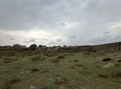 Продаётся  участок 24 сот, пос. Шувеляны, photo 7 from 8