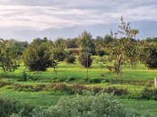 Продаётся  участок 100 сот, photo 5 from 8