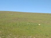 Продаётся  участок 54 сот, пос. Мехтиабад, photo 5 from 7