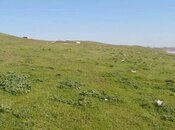 Продаётся  участок 54 сот, пос. Мехтиабад, photo 7 from 7