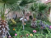 Satılır 8 otaqlı həyət evi/bağ evi 650 m², Binəqədi q., photo 6 from 8