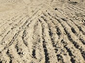 Продаётся  участок 9 сот, пос. Нардаран, photo 8 from 8