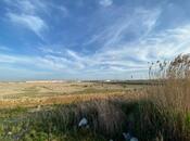 Продаётся  участок 700 сот, Абшеронcкий  р., photo 6 from 8