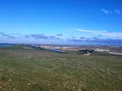 Satılır  torpaq 300 sot, Abşeron r., photo 2 from 5