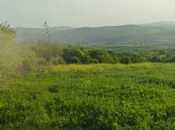 Satılır  torpaq 75 sot, photo 2 from 4