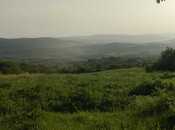 Объявление №4877666 - Исмаиллы, Исмаиллы, 75 сот