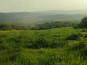 Satılır  torpaq 75 sot, photo 3 from 4