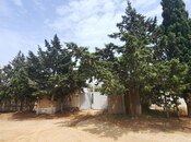 Satılır  torpaq 24 sot, Albalılıq q., photo 2 from 8