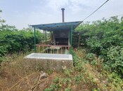 Elan №4885291 - Bakı, Albalılıq q., 24 sot