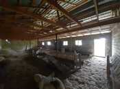 Продаётся 6-комн. дом/дача 550 м², пос. Новханы, photo 5 from 8
