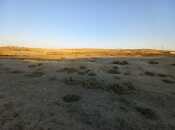 Объявление №4890199 - Баку, пос. Кобу, 700 сот