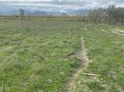 Продаётся  участок 500 сот, photo 2 from 8