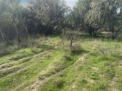 Продаётся  участок 500 сот, photo 7 from 8