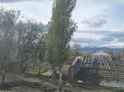 Продаётся  участок 500 сот, photo 8 from 8