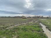 Продаётся  участок 500 сот, photo 4 from 8