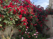 Satılır 3 otaqlı həyət evi/bağ evi 135 m², M.Ə.Rəsulzadə q., photo 2 from 8